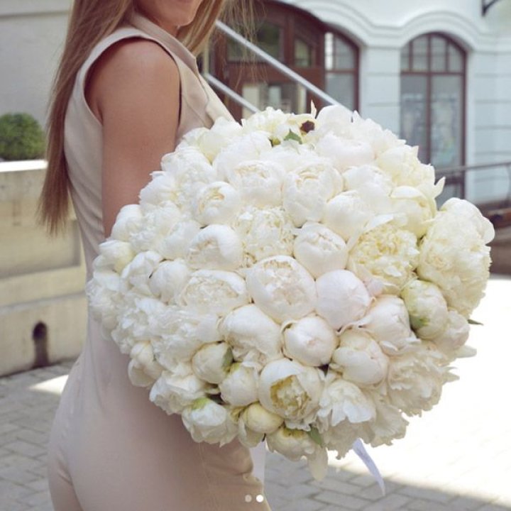 51 белый пион в Тольятти