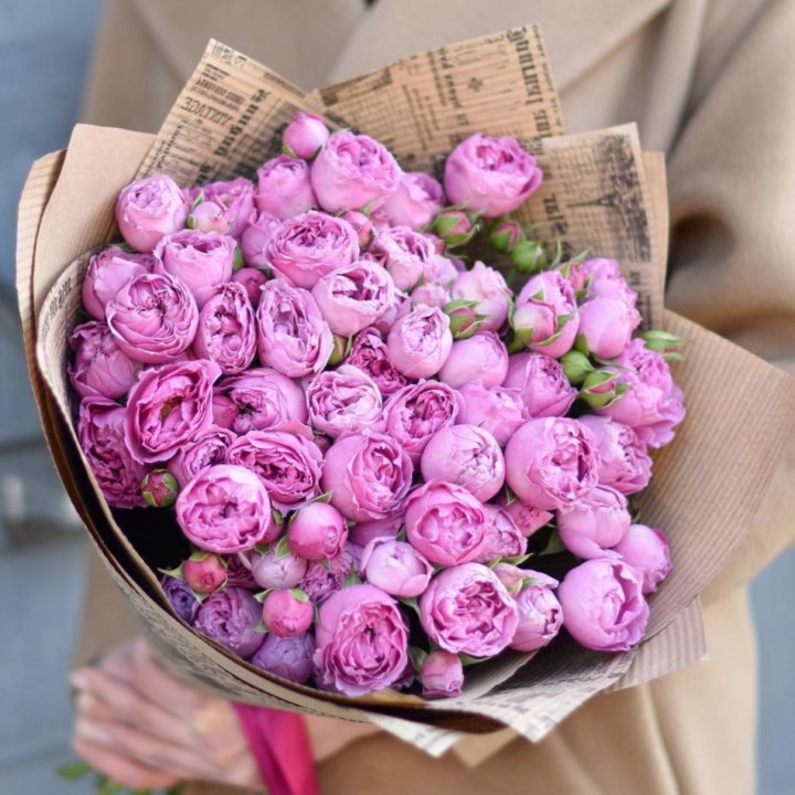 Роза Мисти Баблс в Тольятти