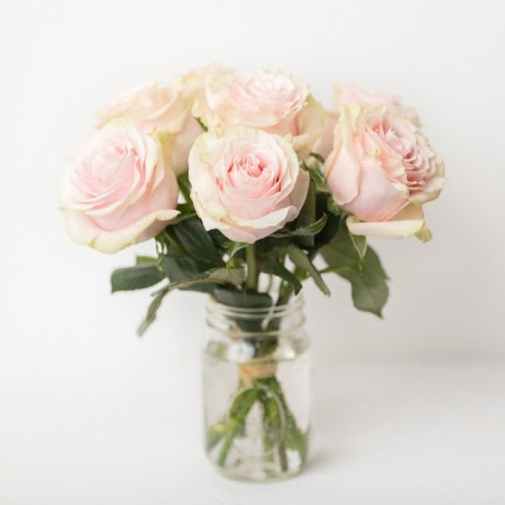 7 кремовых роз в Тольятти