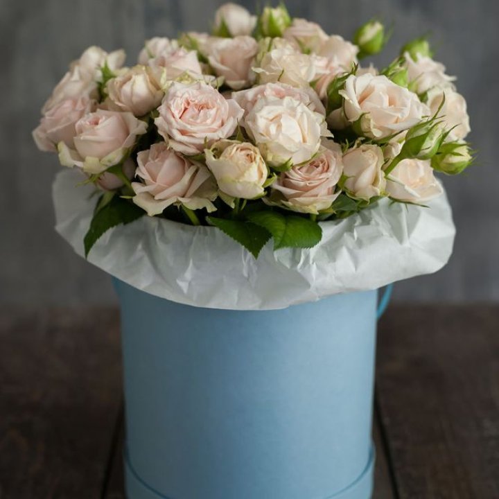 Бокс с бомбастиком в Тольятти