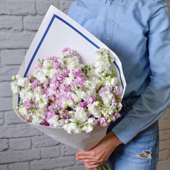 Маттиола в Тольятти