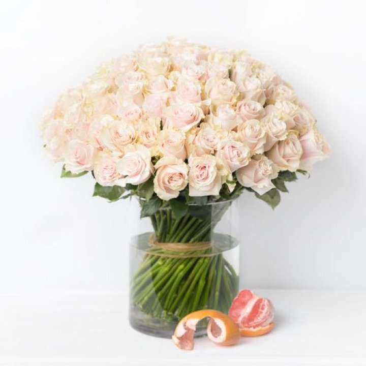 101 кремовая роза в Тольятти