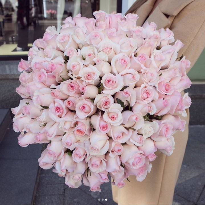 Розы "Пинк бум" в Тольятти