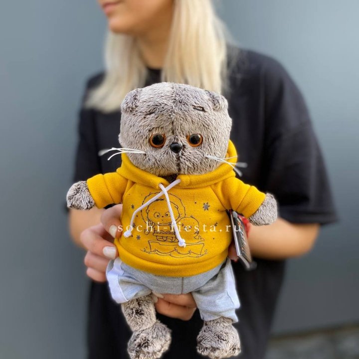 Кот Басик в худи в Тольятти