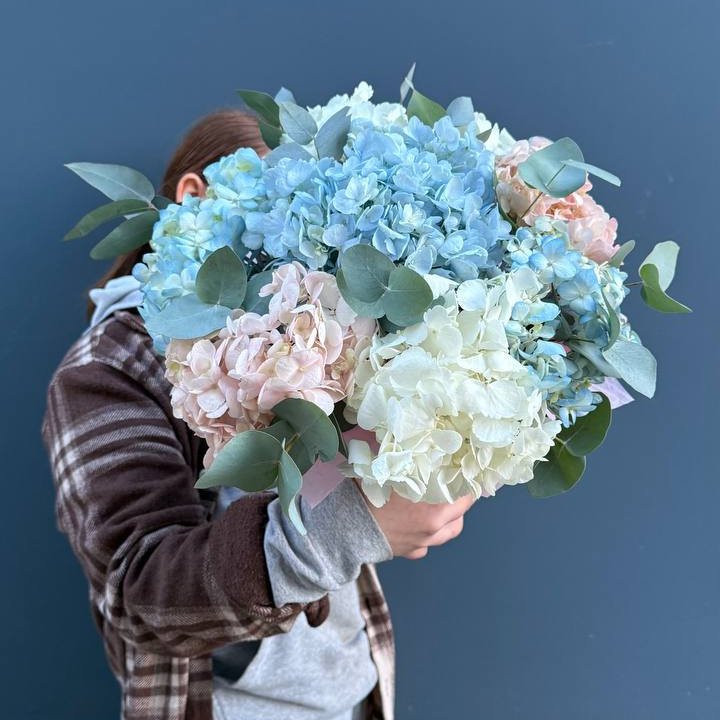 Гортензии в коробочке в Тольятти