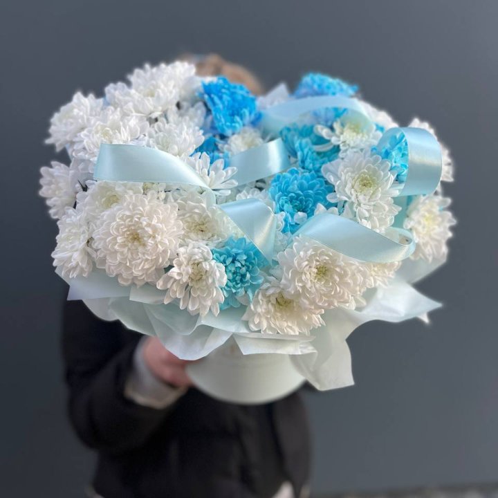 Хризнтемы в боксе в Тольятти