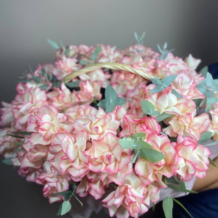 51 джумилия  в корзине   в Тольятти