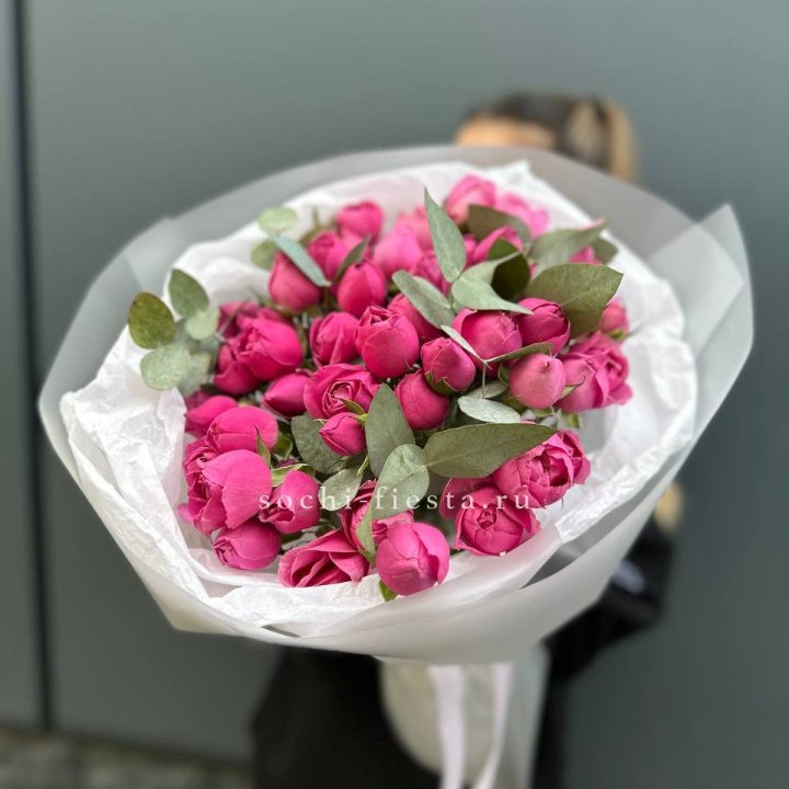 17 Мисти бабблс в Тольятти