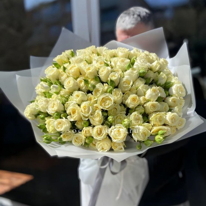Белые кустовые розы 31 шт в Тольятти