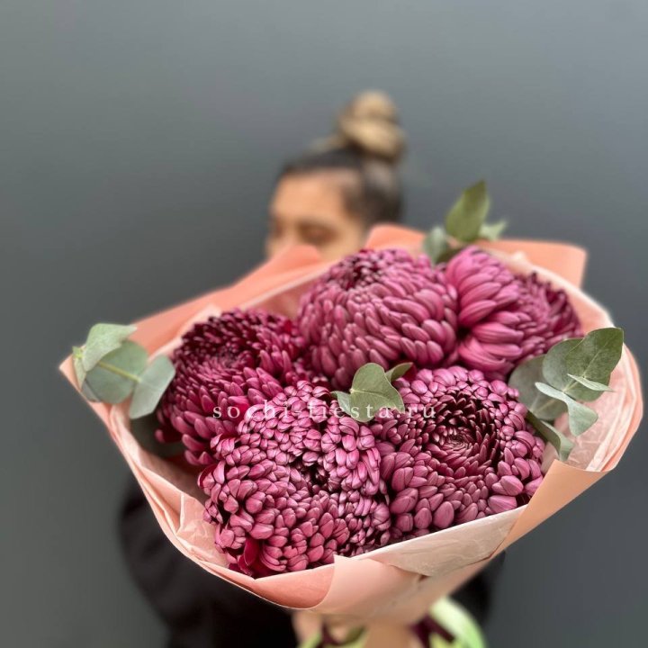 Хризантемы  Бигуди  в Тольятти