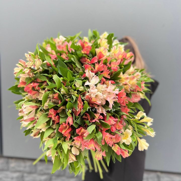 51 альстромерия в Тольятти