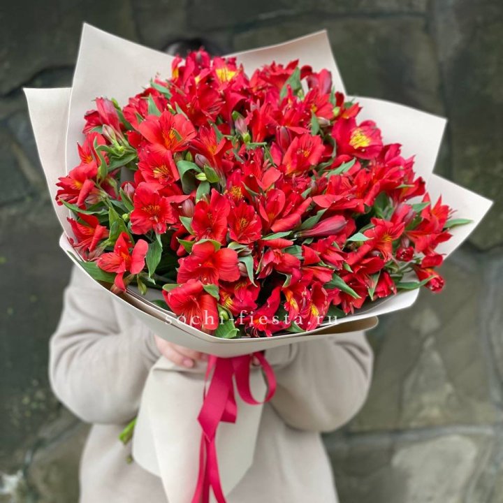 51 альстромерия в Тольятти