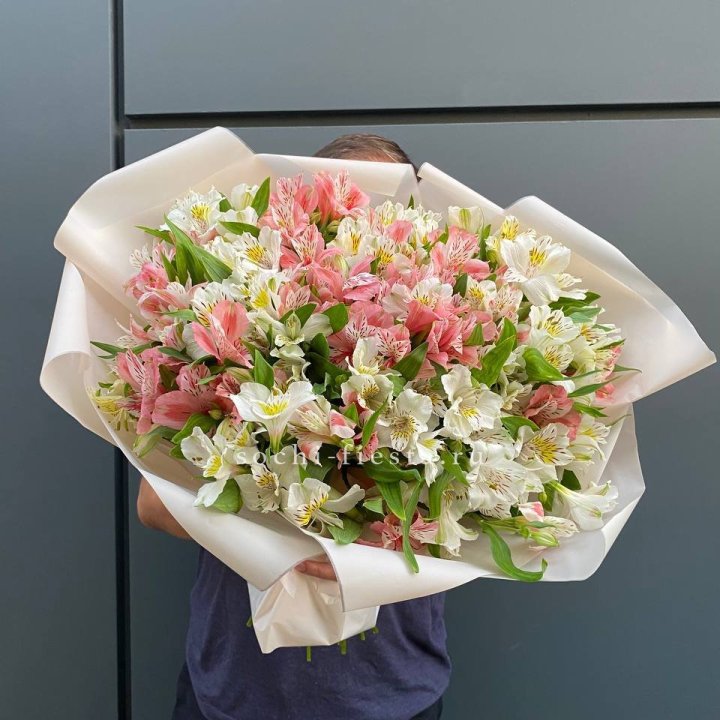 39 альстромерий в Тольятти