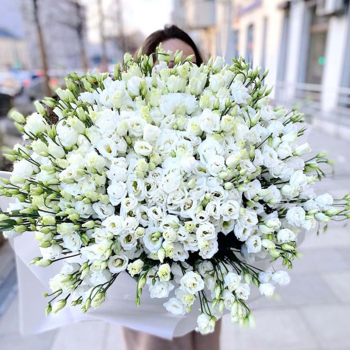 101 белая эустома в Тольятти