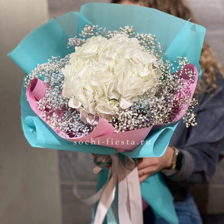 Гортензия "Райдов" в Тольятти