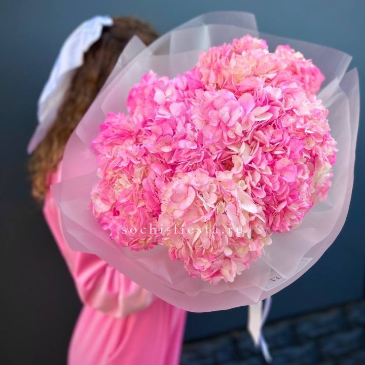 7 ярко розовых гортензий в Тольятти