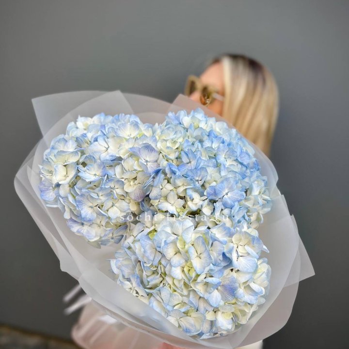 Букет из 3 голубых гортензий  в Тольятти