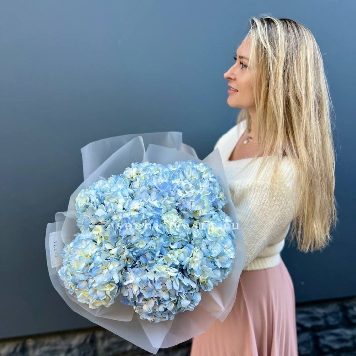 7 голубых гортензий в Тольятти