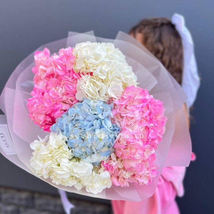 7 гортензий микс в Тольятти