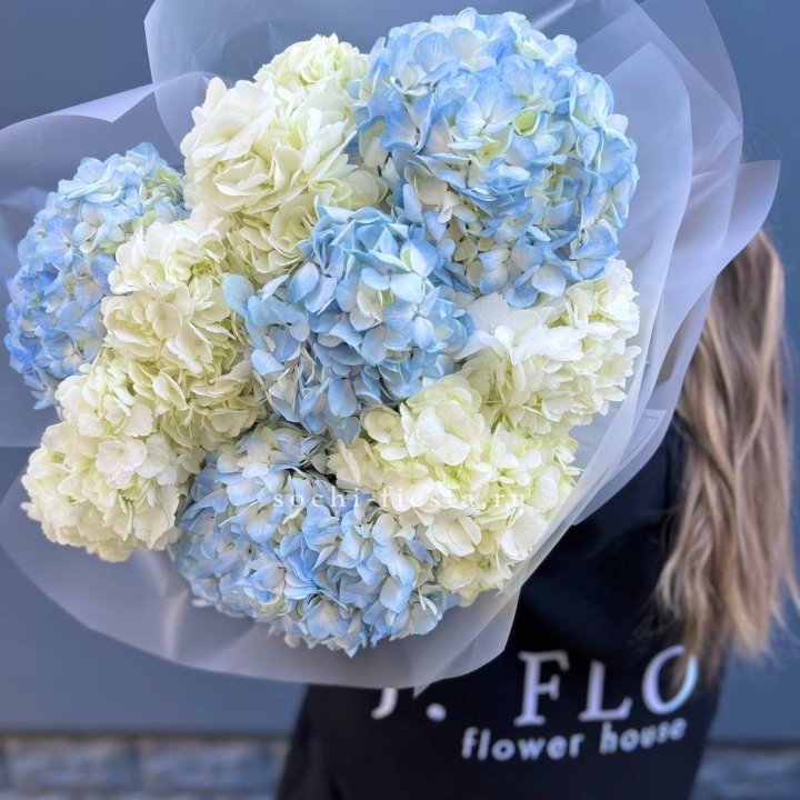 9 бело-голубых гортензий в Тольятти