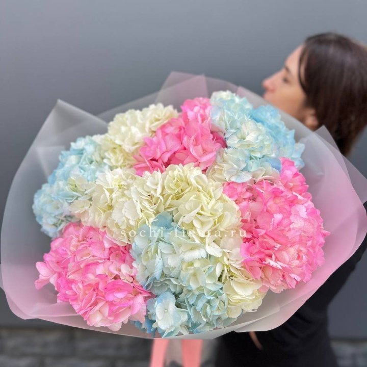 9 гортензий микс в Тольятти