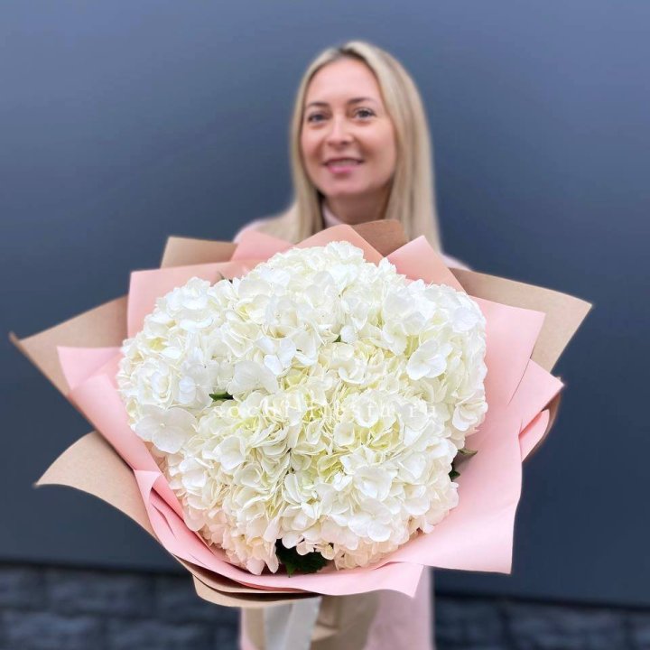 Гортензия белая в Тольятти