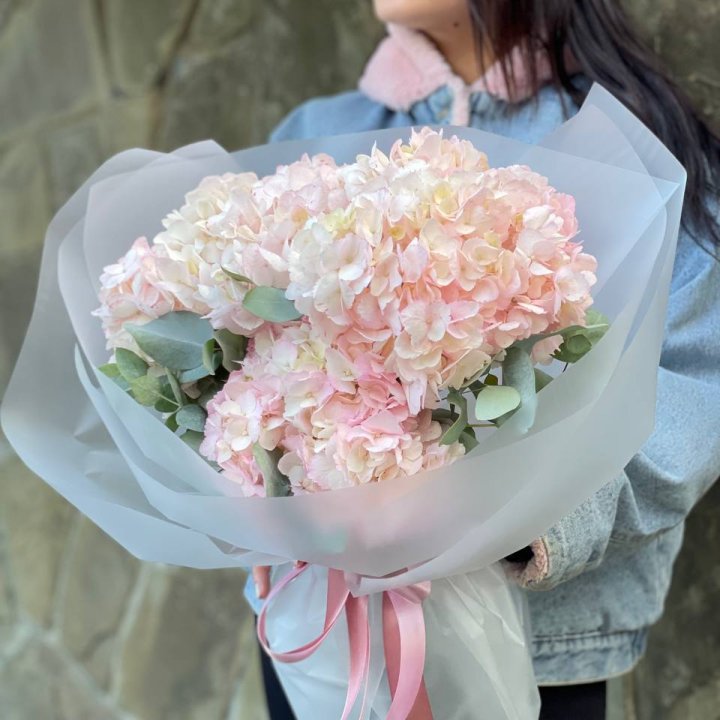 5 розовых гортензий в Тольятти