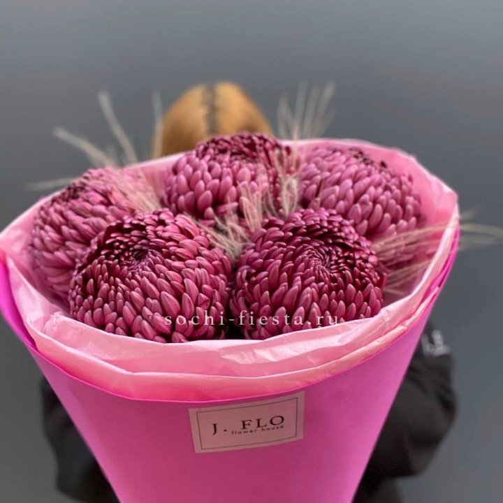 Хризантемы  Бигуди с стифой в Тольятти