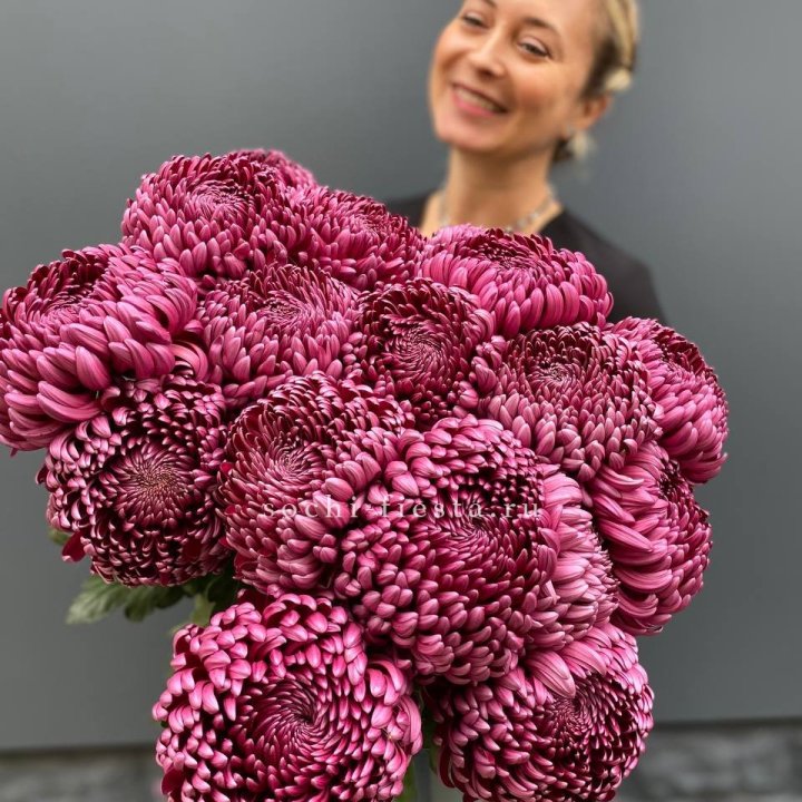 Охапка хризантем Бигуди в Тольятти