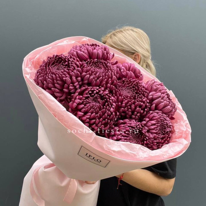 9 хризантем бигуди в Тольятти