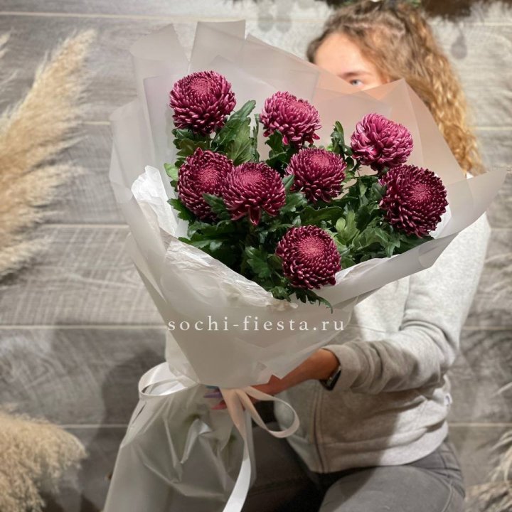 Хризантемы Бигуди в Тольятти