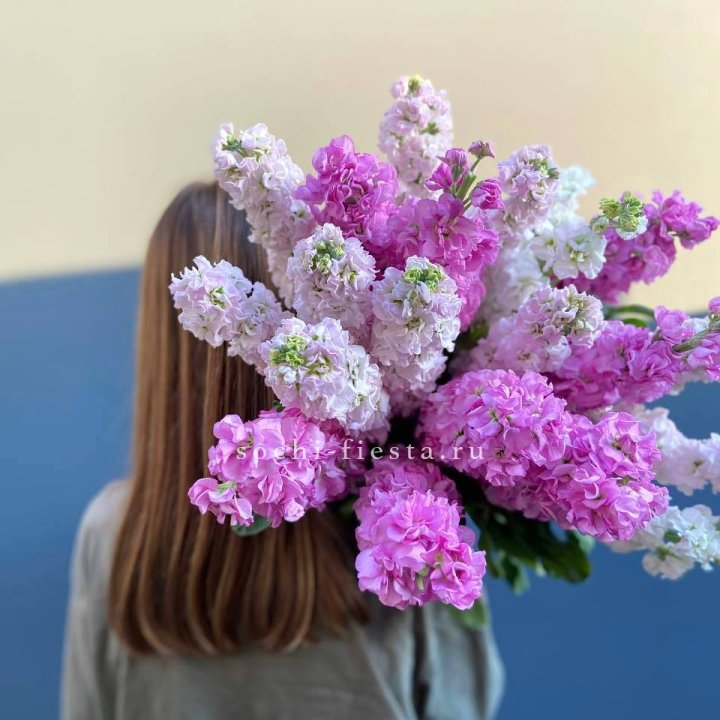 Охапка маттиолы в Тольятти