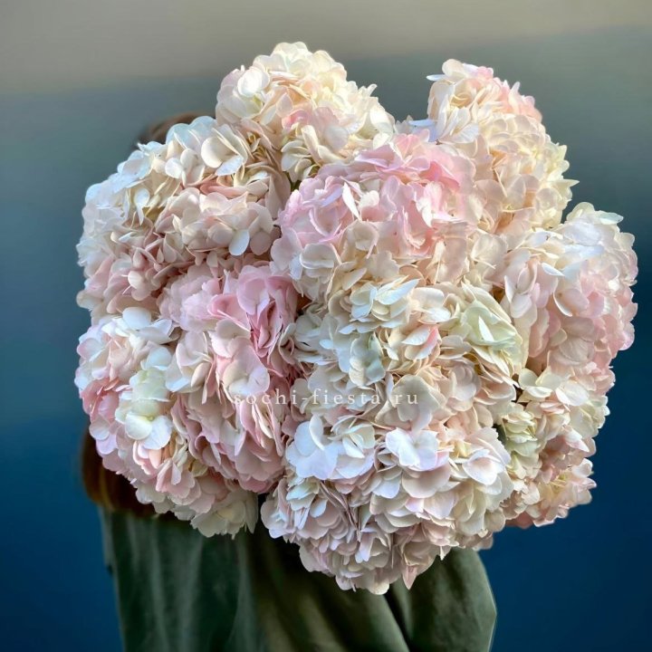 Охапка розовой гортензии в Тольятти