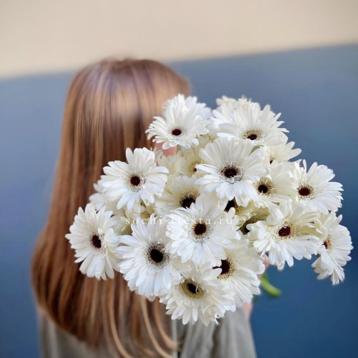 Охапка гербер в Тольятти