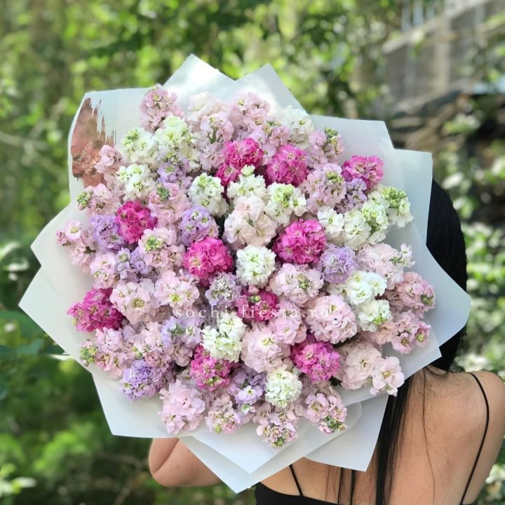 Букет ароматной маттиоллы №3 в Тольятти