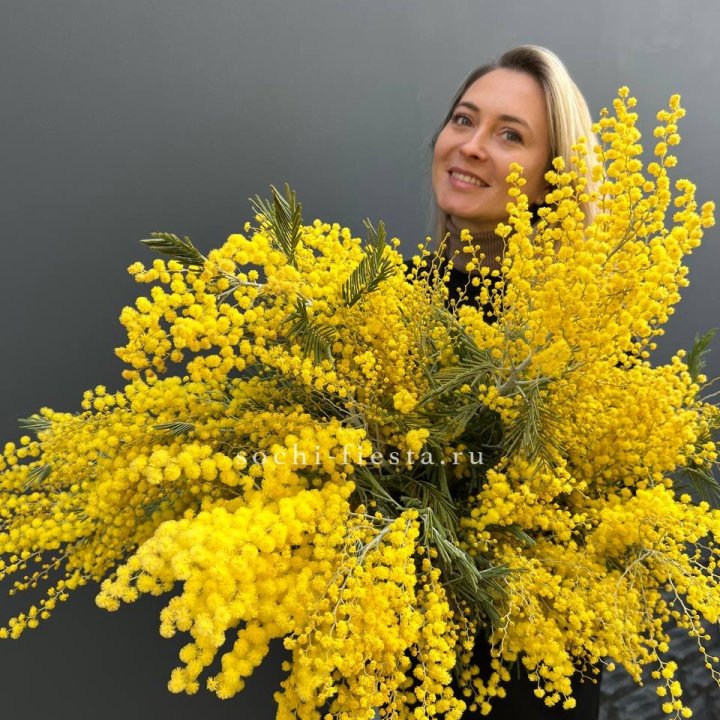 Охапка мимозы №2 в Тольятти