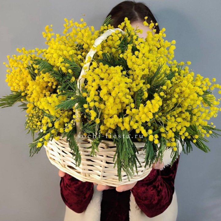 Корзина ароматной мимозы в Тольятти