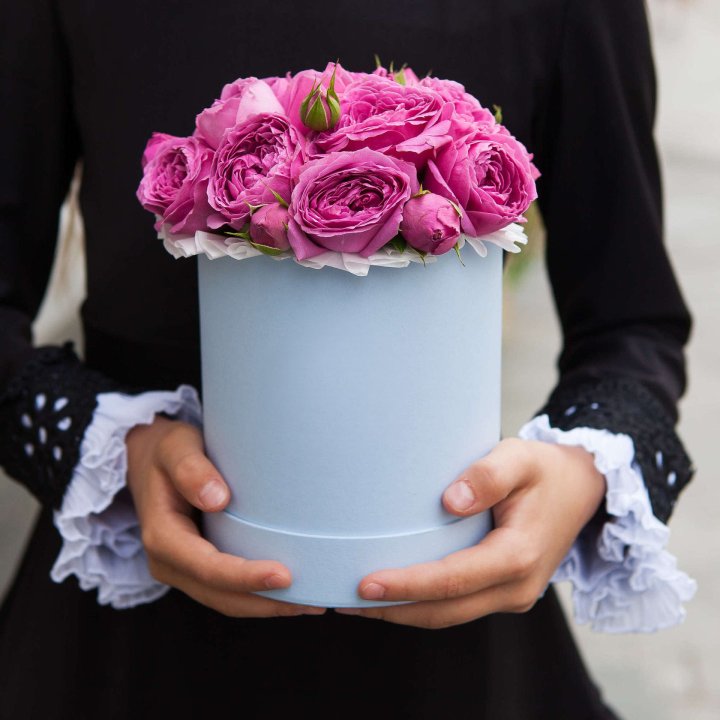 Бокс мини мисти в Тольятти