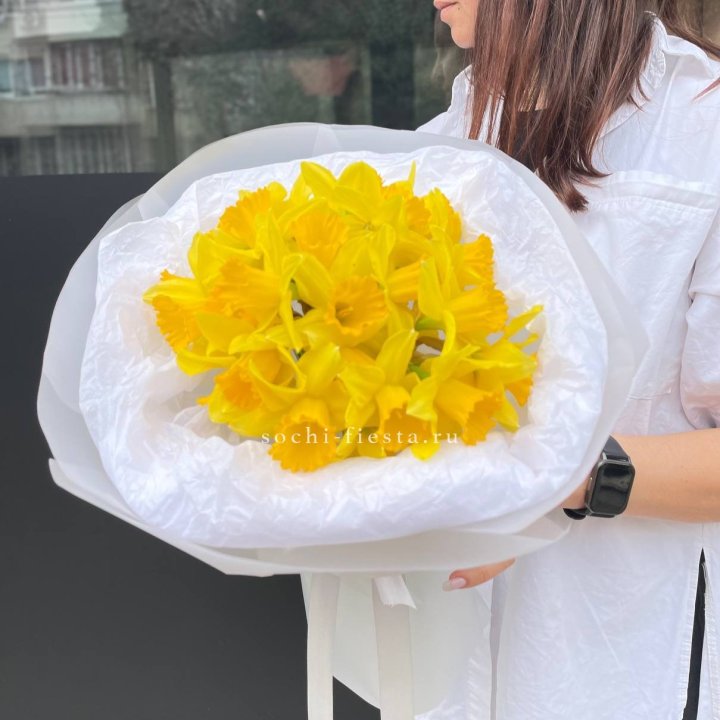 Нарциссы 25 шт в Тольятти