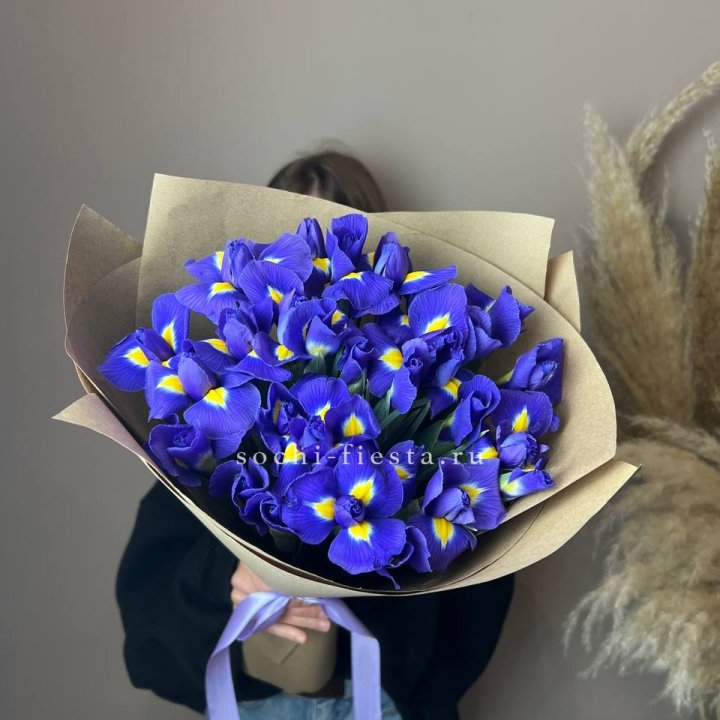 Ирисы в Тольятти