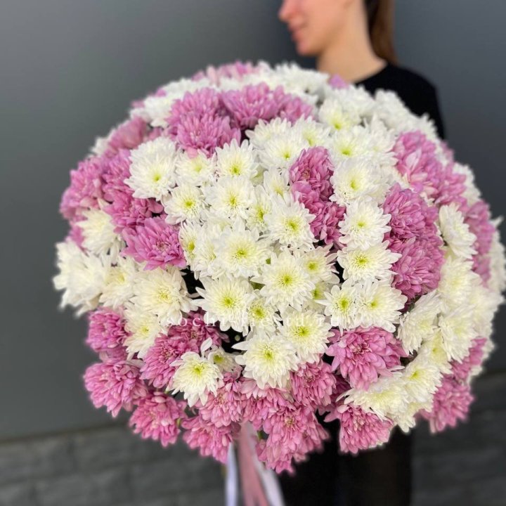  Букет 25 хризантем микс в Тольятти