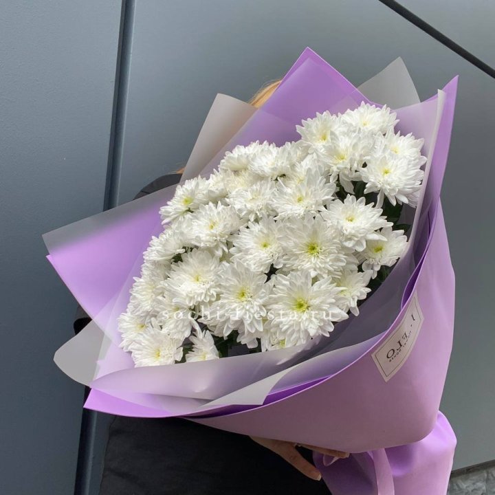  7 хризантем  в Тольятти