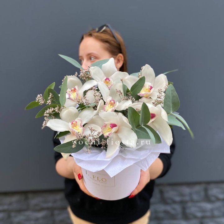 7 орхидей в боксе в Тольятти