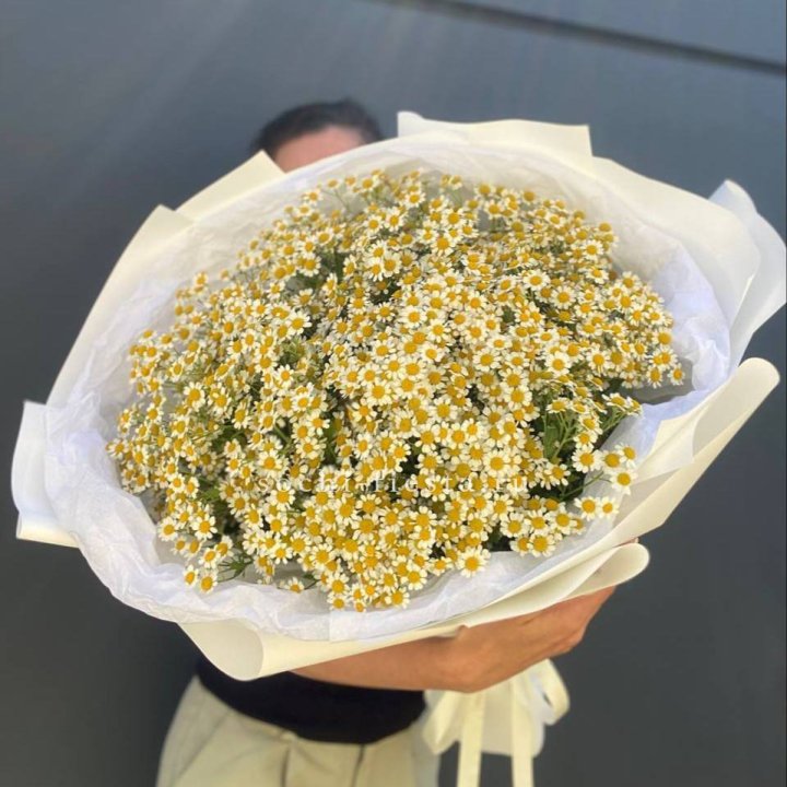 Букет ромашек №2 в Тольятти