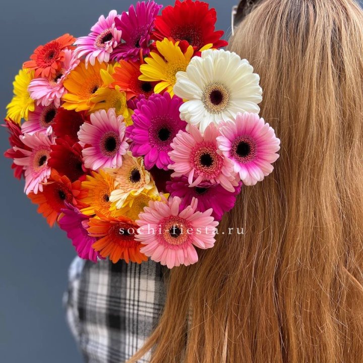 Охапка гербер  в Тольятти