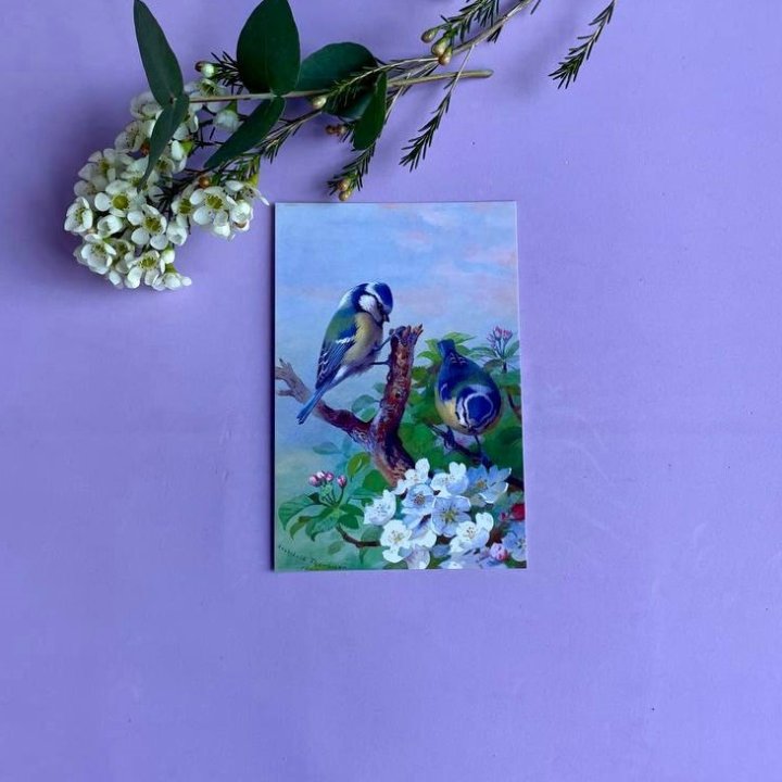 Открытка к букету "Птицы" в Тольятти