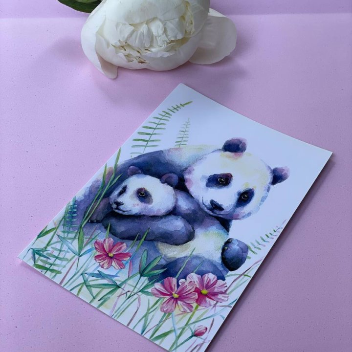 Открытка к букету "Объятие Панды" в Тольятти