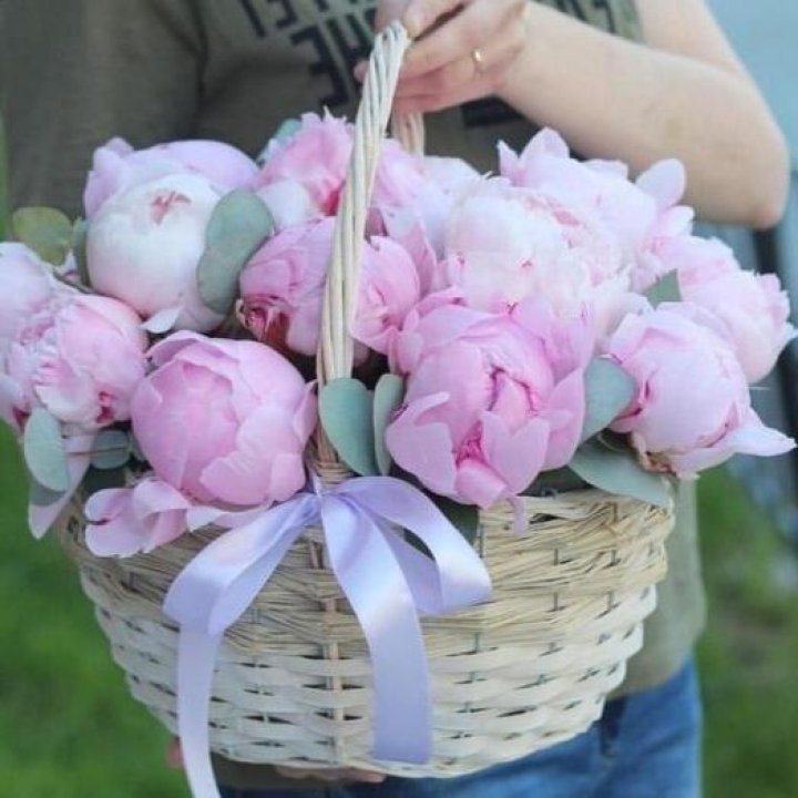 15 пионов в корзине в Тольятти