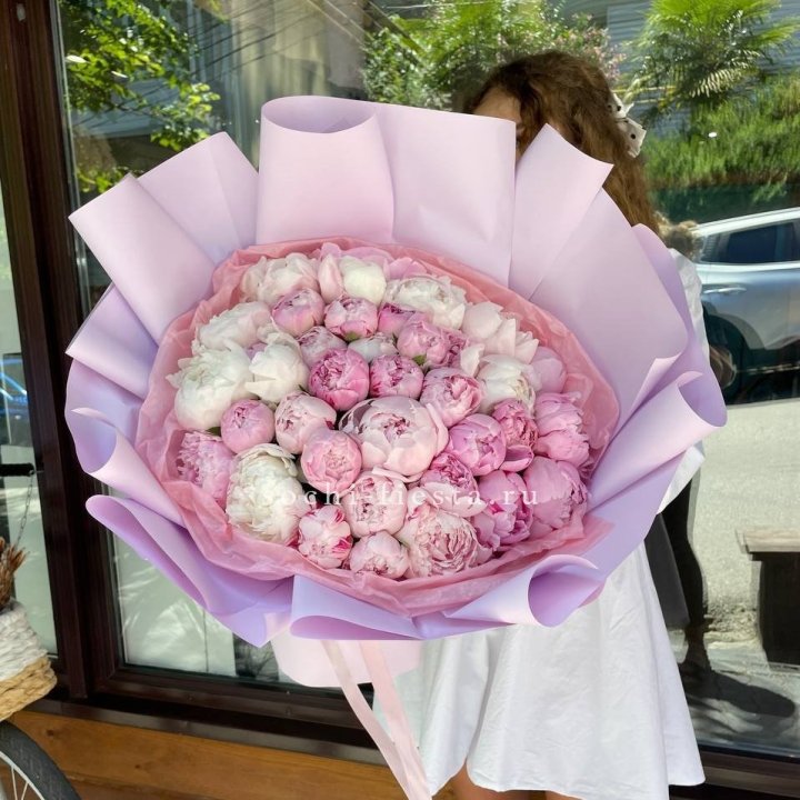 51 розовый пион в Тольятти