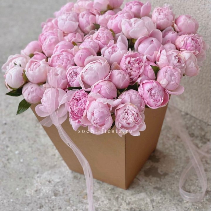 49 пионов в крафт коробке в Тольятти